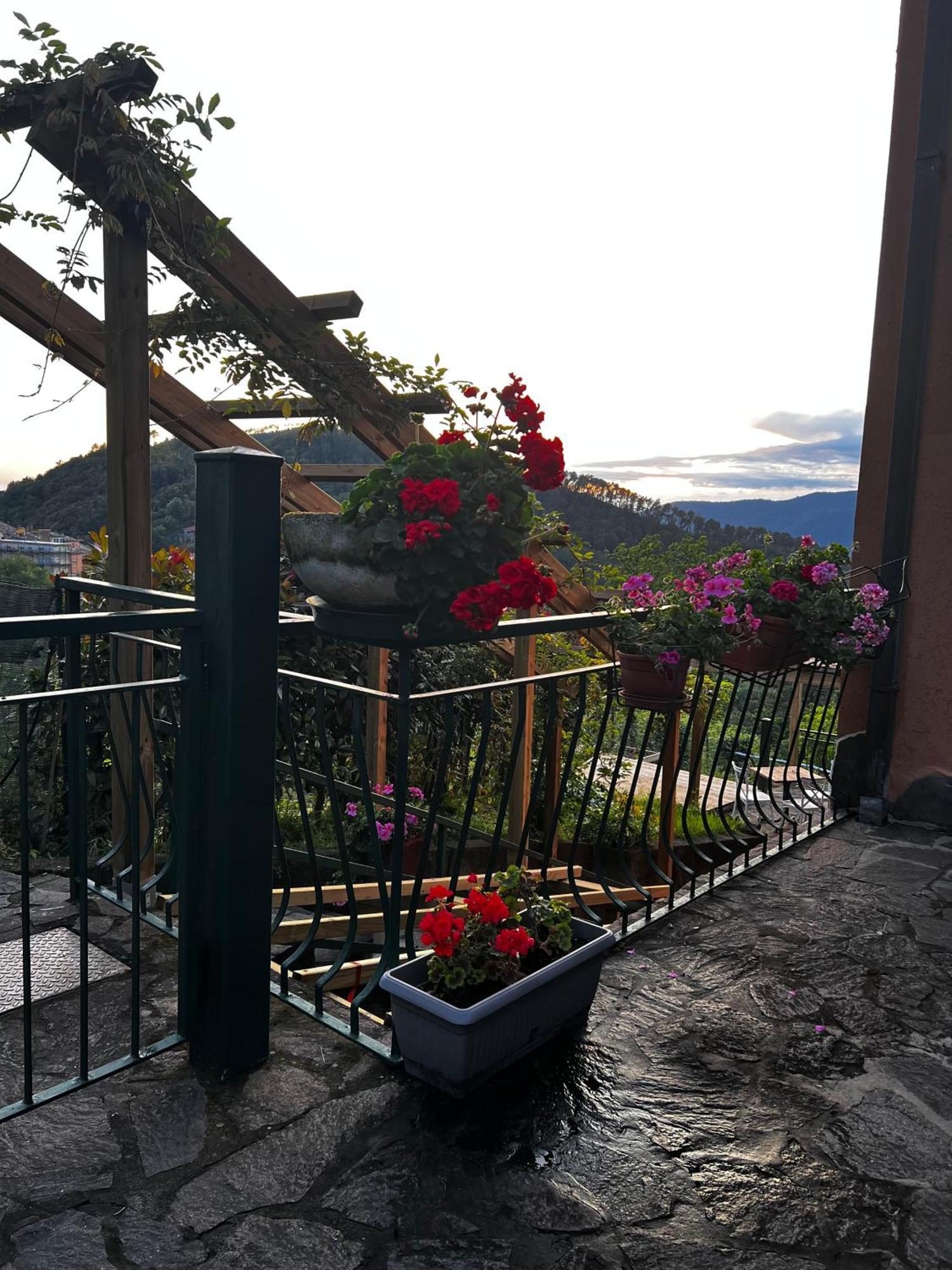 Hotel Meri